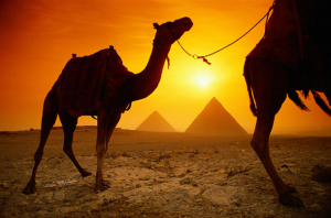 egipto_camellos Camellos en el atardecer de Egipto